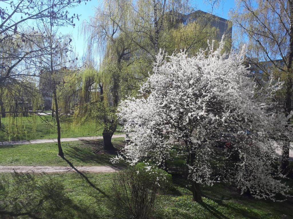 Апартаменты Stay in Kaunas! Brand new, 2 rooms Каунас-27