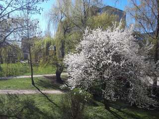 Апартаменты Stay in Kaunas! Brand new, 2 rooms Каунас Апартаменты с 2 спальнями-9