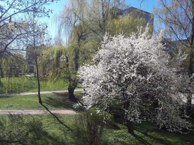 Апартаменты Stay in Kaunas! Brand new, 2 rooms Каунас-26